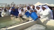 الكويت تعزز ثروتها السمكية للحد من غلاء الأسعار