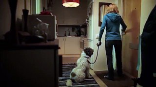 WWF Earth Hour Hero Dog - Film de Liberté
