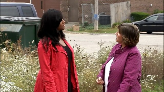 Puppies!!! And other cute doggies and kittens.