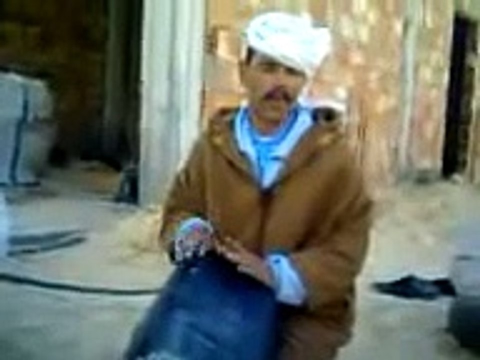 فنان قماري من فنانين طيور الجنة قمار guemar  el oued