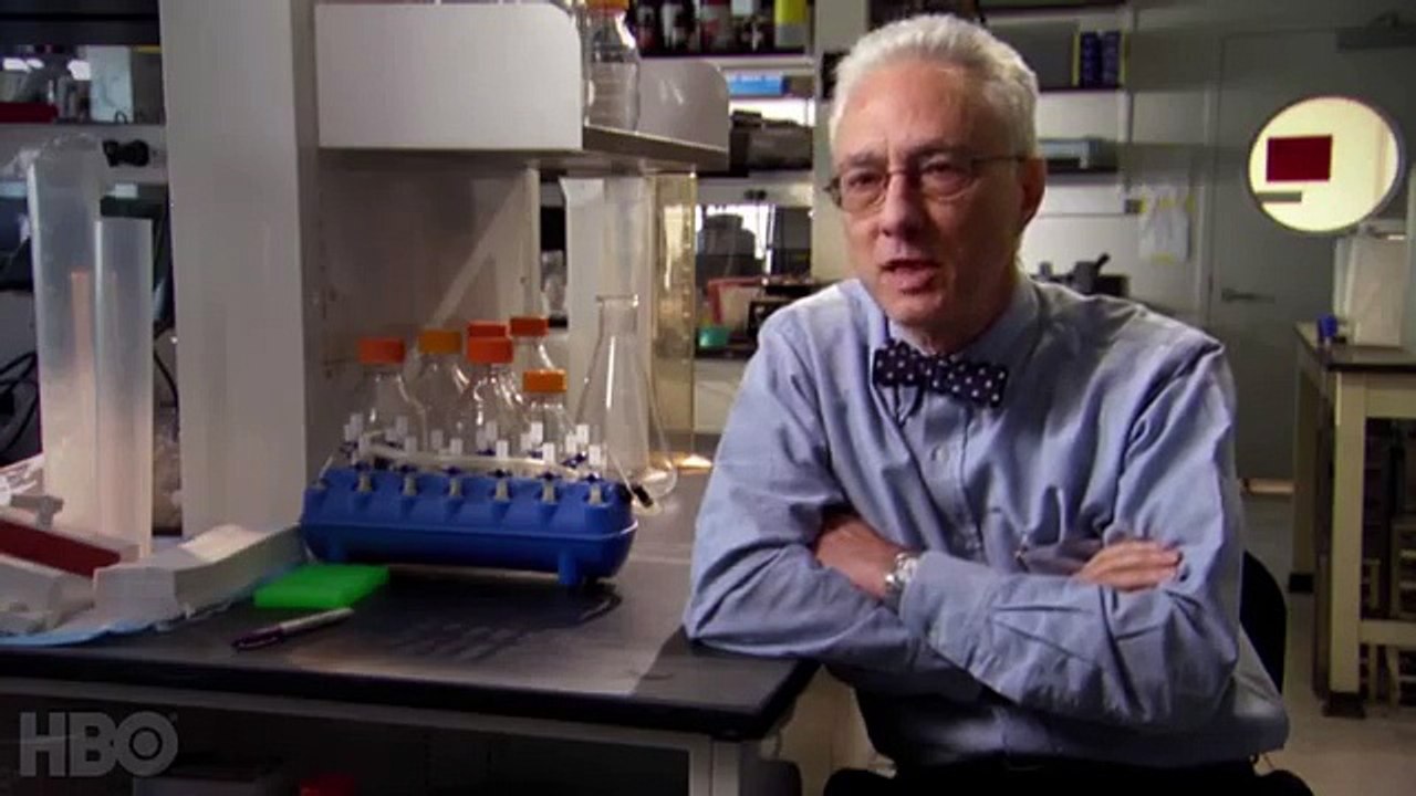 Why Maintaining a Healthy Weight is So Hard (HBO: The Weight of the Nation)