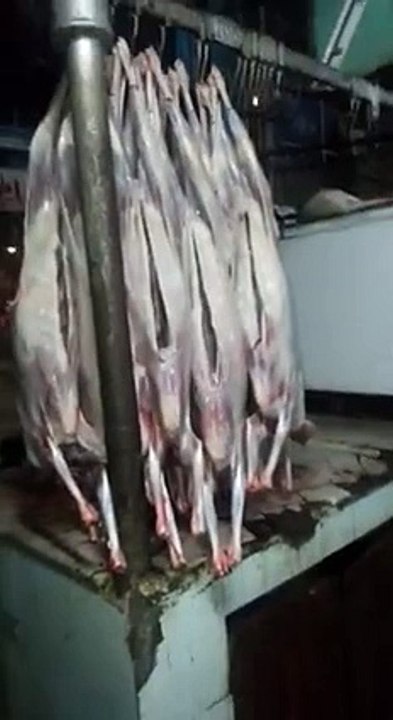 mutton khany walo zara idar bi daikho