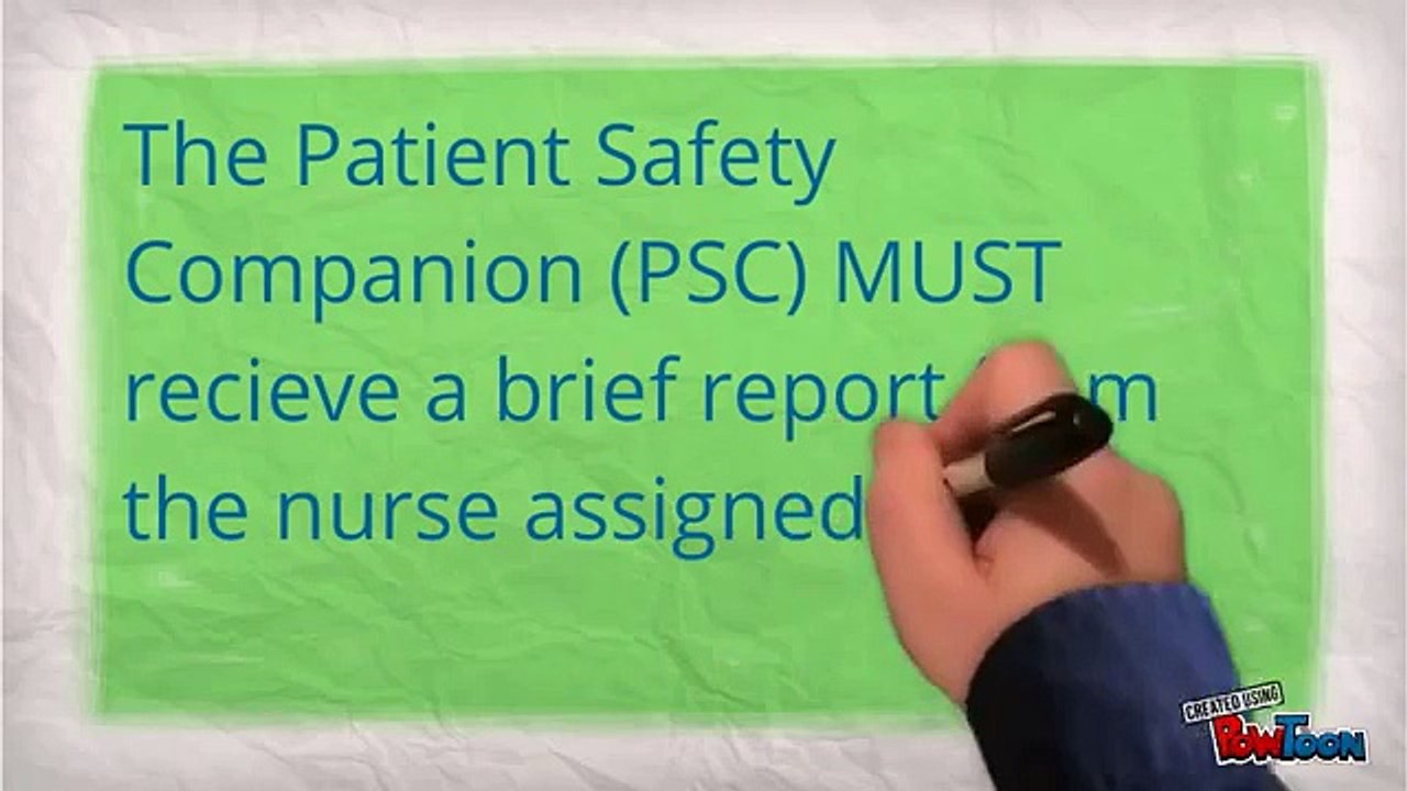 Patient Safety Companions