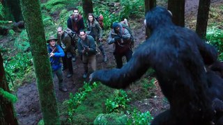 Dawn of The Planet of The Apes - Official Trailer HD - 20th Century FOX