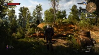 Witcher 3 Funny Scene - Stranger tries to fool Geralt