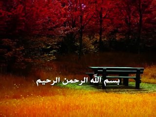 | الصداقه بمعناها الحقيقي |