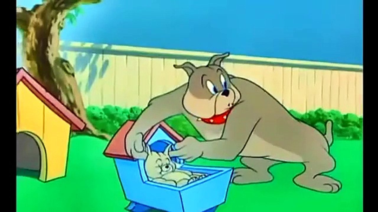 Cartoons Tom and Jerry English Series 2015/2016