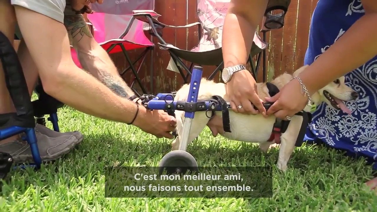 Des meilleurs amis surprenants (Pub Kleenex)