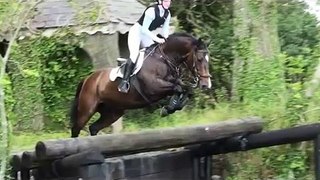 Boo's 3rd time XC