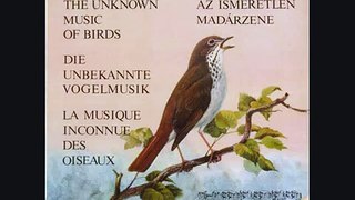 The true Music of Birds