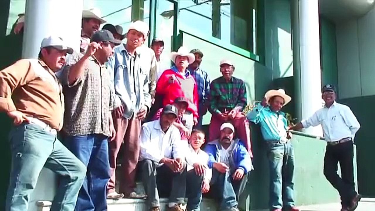 ESTAFA LA ASEGURADORA AGRÍCOLA ESPAÑOLA "MAPFRE", 10 MILLONES DE PESOS A 2 MIL 150 CAMPESINOS.