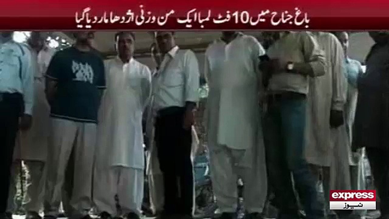 Anaconda caugt in Lahore