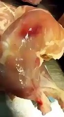 zenith outlet sealed in lahore by PFA