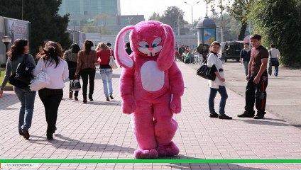 Сказ о розовом зайце  HD Streaming  2010  Part2