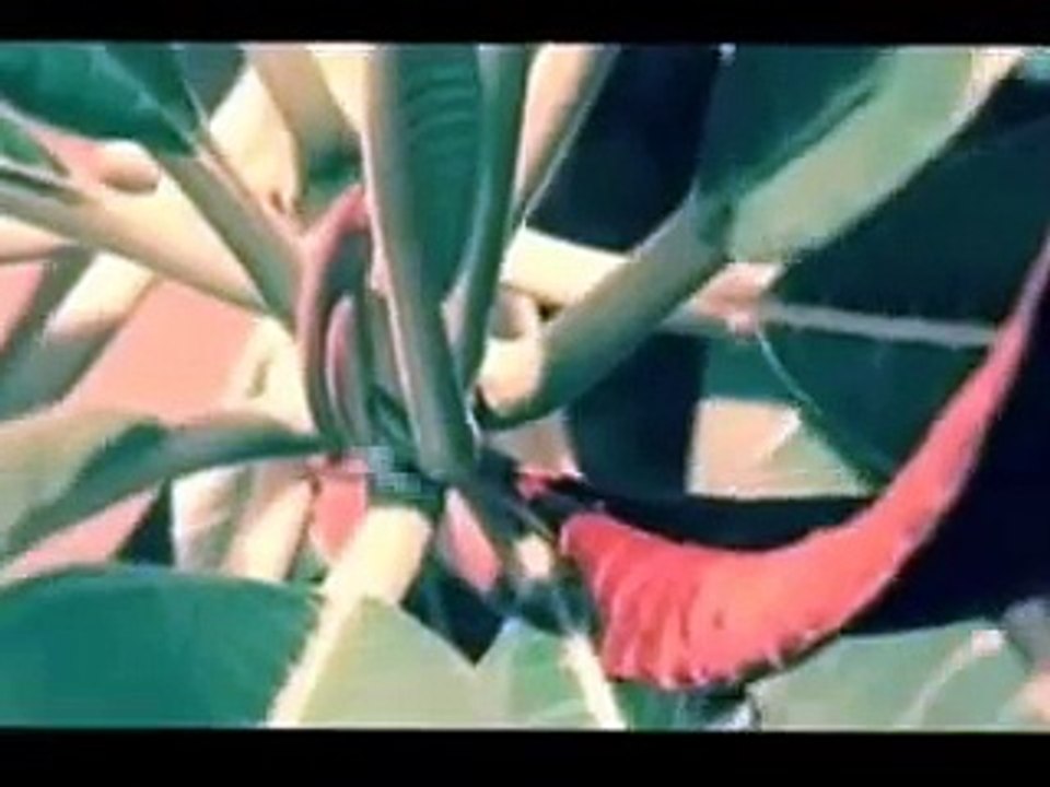 BONNIE PINK   A Perfect Sky