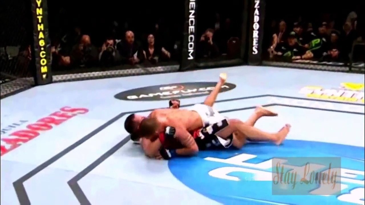 Top MMA knockouts 2015 - Best MMA Knockouts KO