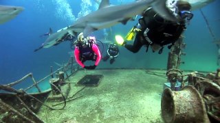 Stuart Cove's Dive Bahamas