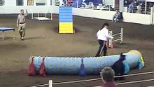 AKC Agility Trial