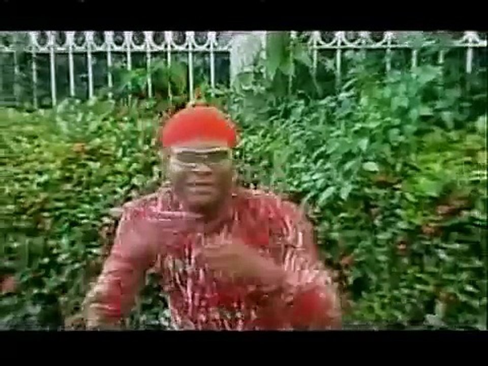 Cameroon - San Visas de Petit Pays - Guizo Dezamours