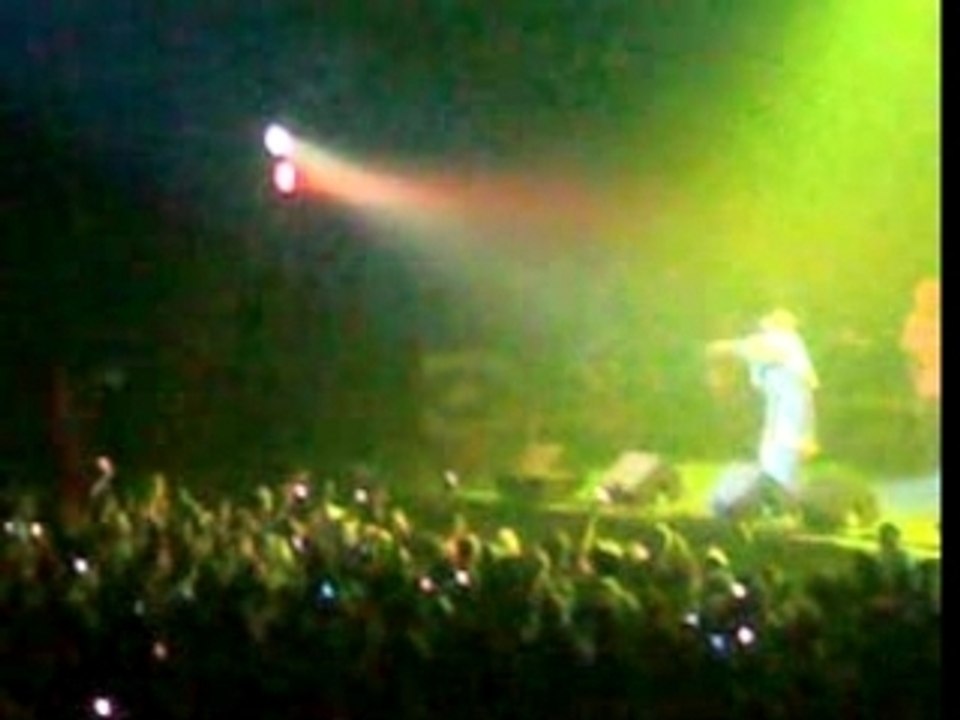 capleton "Stand tall" made in jamaica