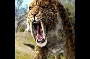 Grandes Felinos pré históricos - Prehistoric big cats