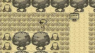 pokemon red ep2 atack of the bugs