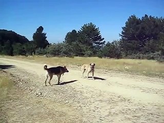 çankaya ÖVEÇLER KOMBİ SRV..279 15 16 BAYMAK