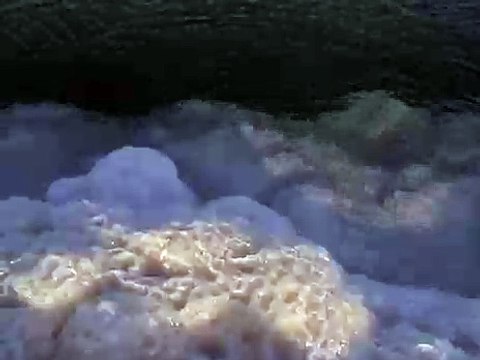 חוף הים של ישוב נווה זוהר, ים המלח