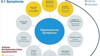 Heilpraktiker für Psychotherapie: Depressionen und Psych.Path. Symptome