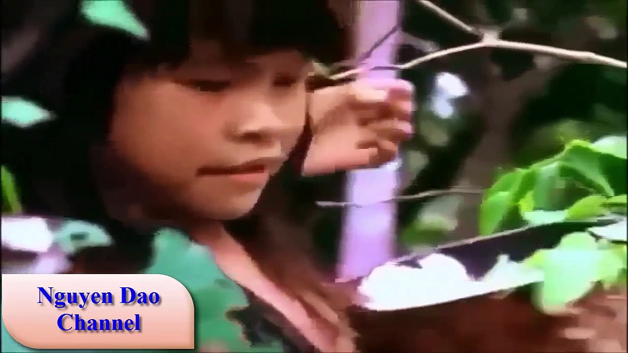 Thế Giới Động Vật || Bí Ẩn Bộ Tộc Được Đánh Giá Nhiều Gái Xinh Nhất (Thật Kì Dị ) Full HD