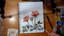 Watercolor and Colored Pencil Roses Speed Paint