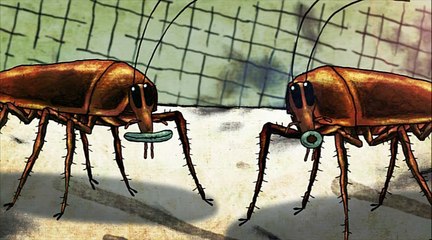 Vivre Ensemble par Les Lascars