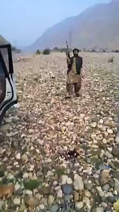 Son Of Rind