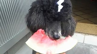 Susy comendo melancia *-*