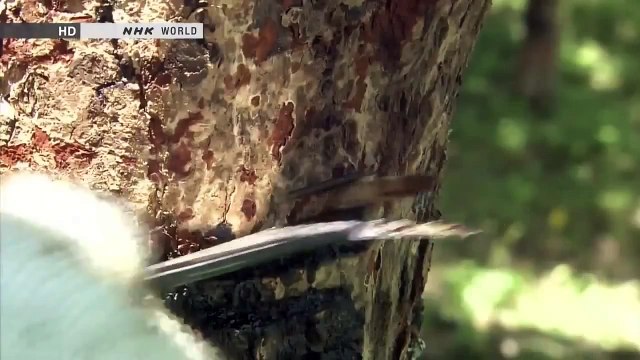 Begin Japanology Mini Lacquerware Art 漆器 Doc