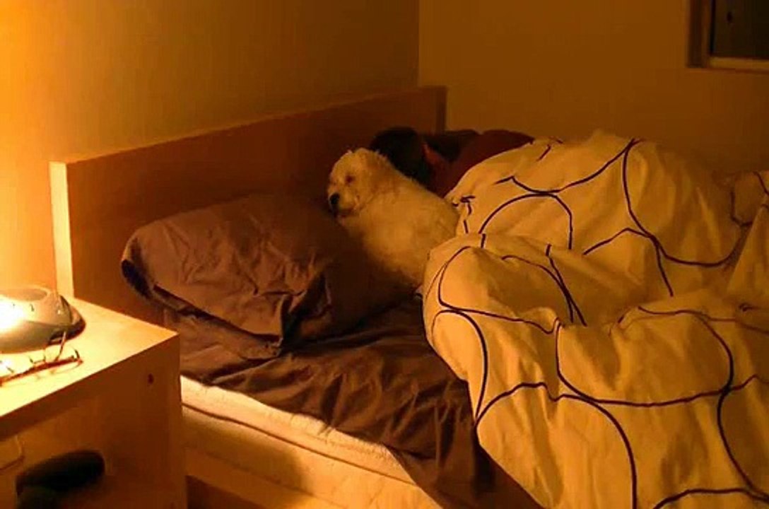 Time lapse - Wife is gone, my dog sleeps with me