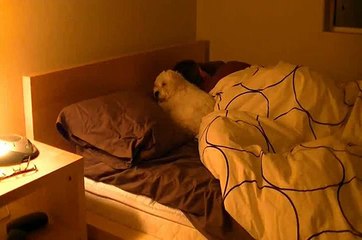 Time lapse - Wife is gone, my dog sleeps with me