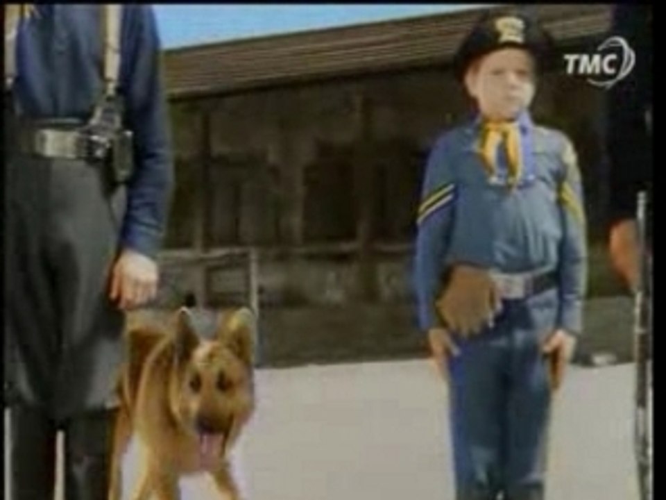 Serie TV - Rintintin