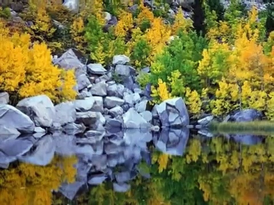 Andre Rieu ''Ballade'' from his album ''Dreaming''