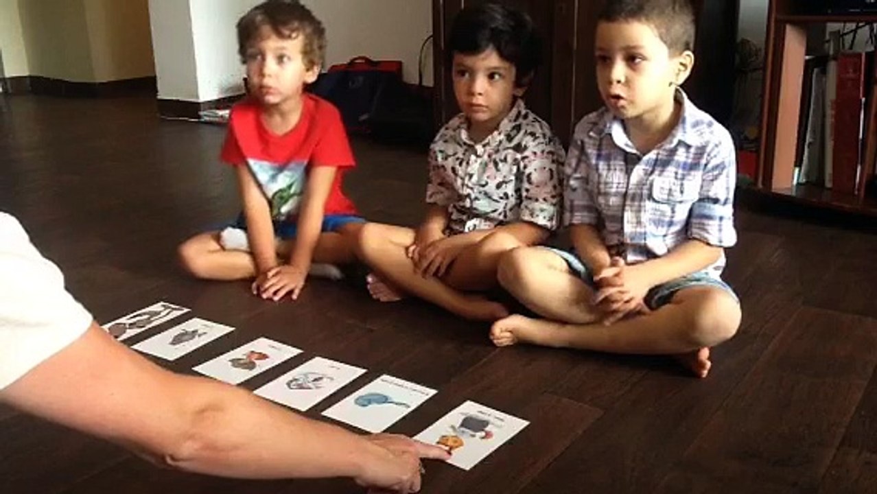 "Les amis d' Elodie" Cours de français