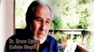 KYMATICA - Conversations with Ben: Stewart and Dr. Bruce Lipton