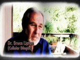 KYMATICA - Conversations with Ben: Stewart and Dr. Bruce Lipton