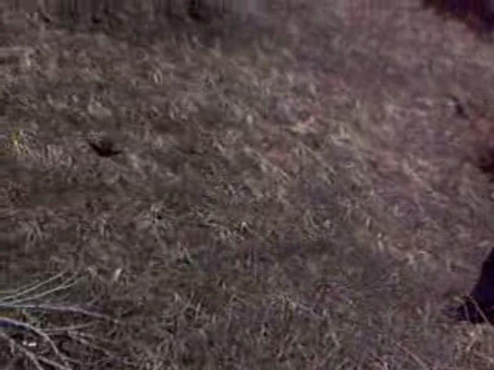 Dune Climb