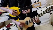 Nekobus (Tonari No Totoro ukulele cover)