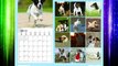 Jack Russell Terriers Calendar - 2015 Wall calendars - Dog Calendars - Monthly Wall Calendar