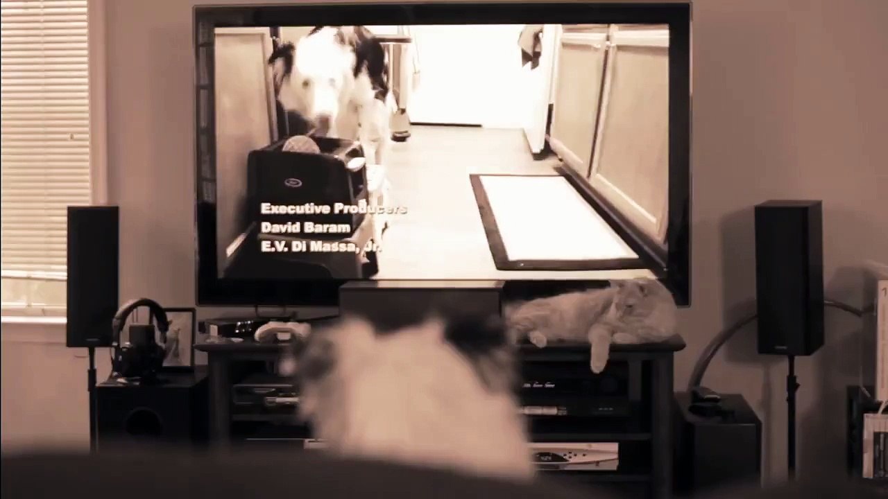 Keep Your Dog's Breath Smelling Great with Nylabone!