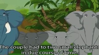 Jataka Tales - The Fox Reared By The Elephant - Moral Stories for Kids - Animated/Cartoon Stories