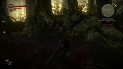 Nightm2r3 plays witcher 2 ep 25.mp4