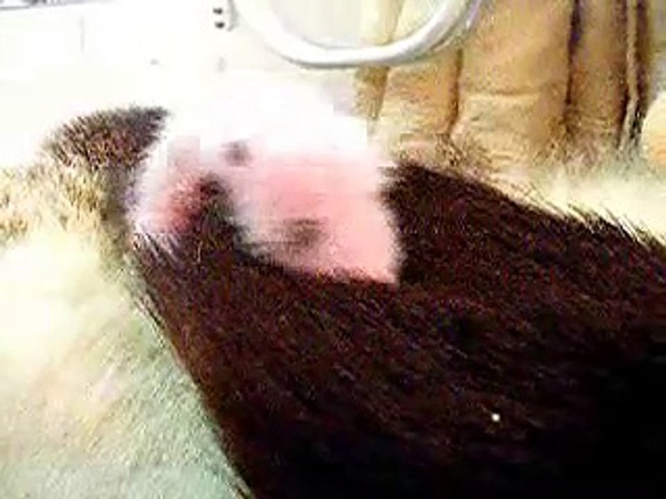 團團圓圓~初生.