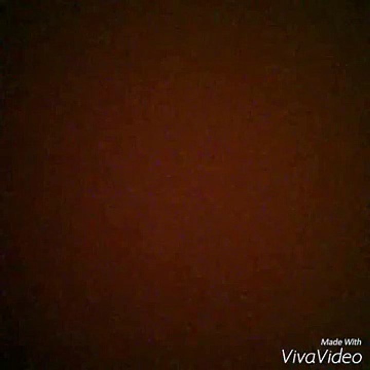 Fun Video | Die profi springer